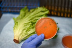 Listeria: ¿qué es y cómo prevenirla?